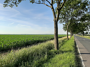 Weg nach Gross Lobke